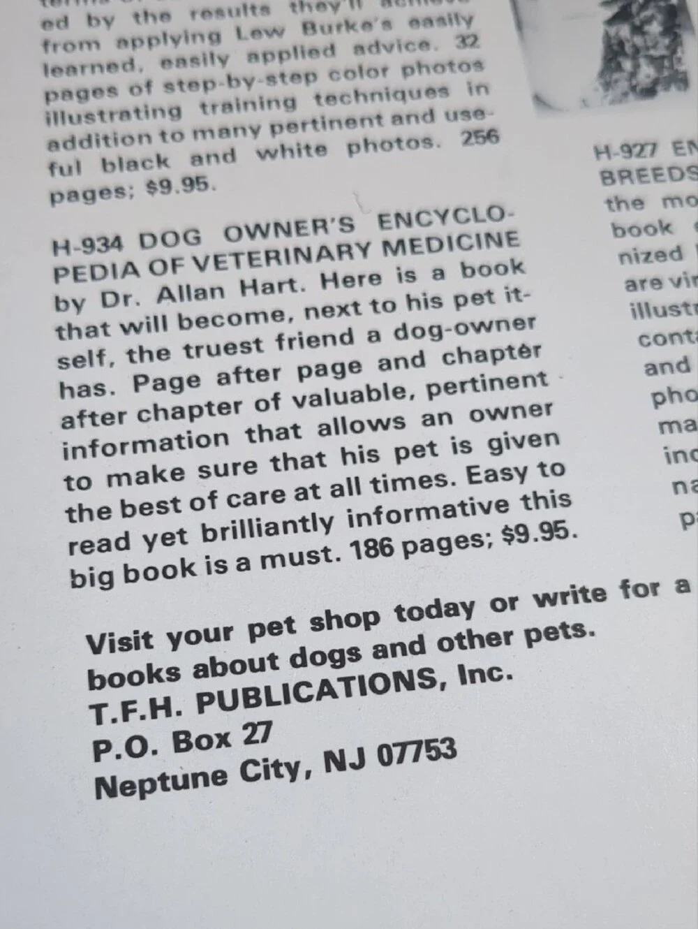 how to raise and train a belgian sheepdog Vintage 1964 Paperback 📖